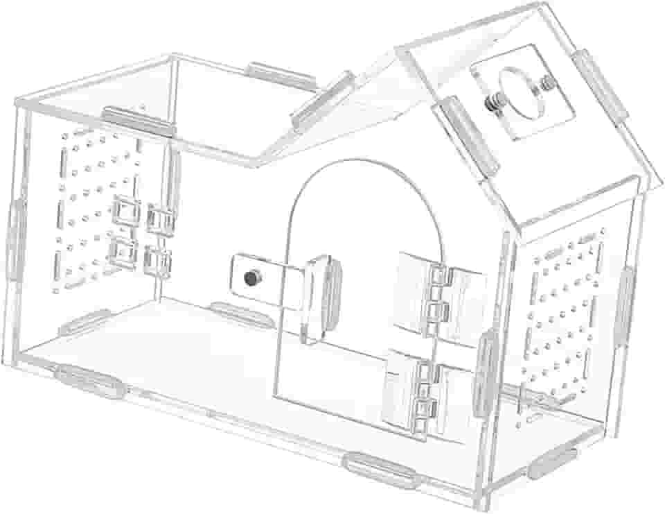 Baoblaze Caixa de alimentação para répteis, recipiente para incubação portátil com orifícios de ventilação, gaiola para habitat de animais, para perereca