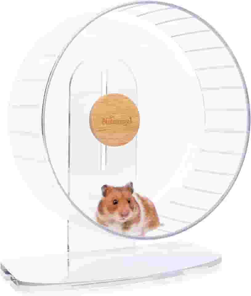 Rodas de exercício de hamster super silenciosas da Niteangel: – Rodas de corrida silenciosas com suporte ajustável para hamsters gérbils ou outros animais pequenos (G, transparente)