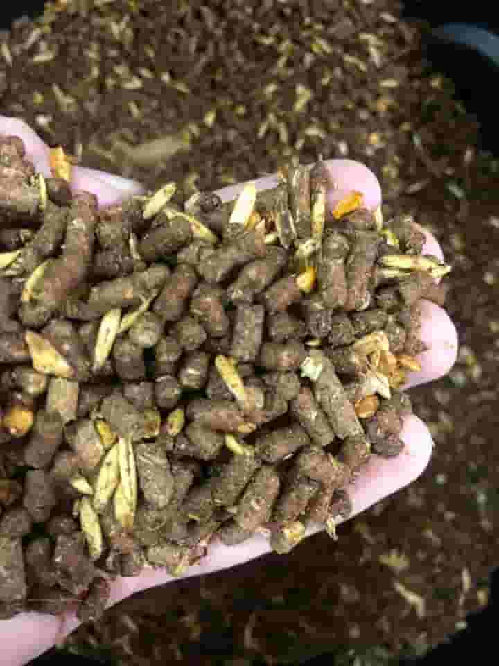 Ração Melaçada Para Cavalo 15% Proteína Trotte Mix Aveia e Milho. (4 KG)