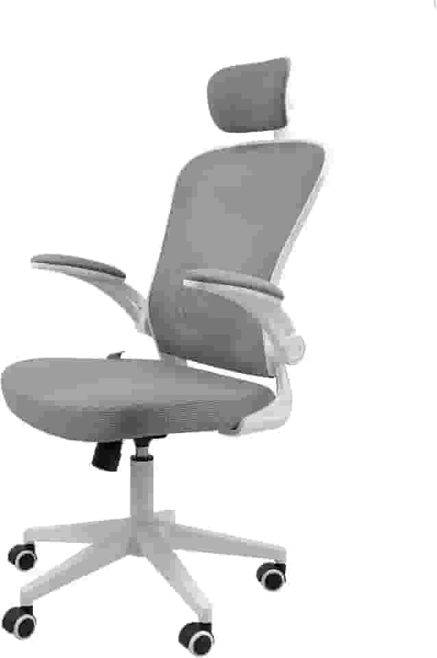 Cadeira Ergonômica Eurynom, Giratória, para Escritório e Home Office, com Encosto Reclinável, Braços Pivotantes, Apoio de Cabeça, Apoio Lombar (Cinza)