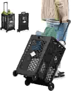 Carrinho Compras Feira Cesta Dobrável C/ 4 Rodinhas 25Kg 60L