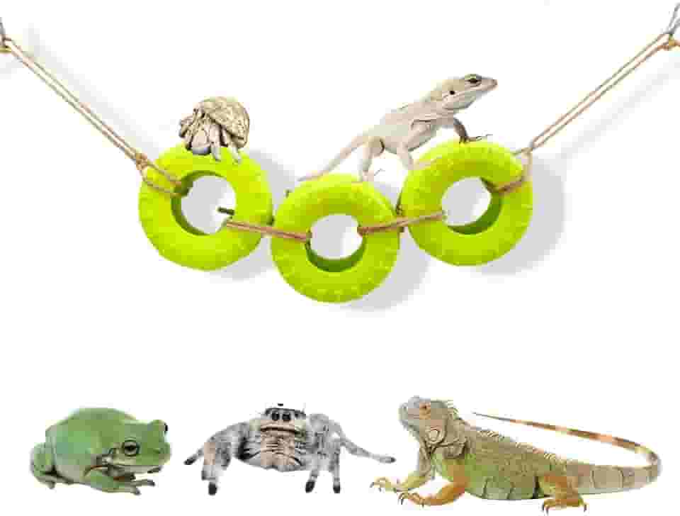 DGHAOKI Acessórios de escalada de caranguejo eremita decoração para tanque de répteis balanço de pneu para caranguejo eremita camaleão leopardo lagartixa sapo lagarto pulando aranha