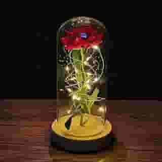 ZWMBYN Presentes de Dia dos Namorados Rosa A Bela e a Fera para ela, Acenda para sempre Galaxy Rose em cúpula de vidro, flor artificial rosa de vidro presente para mulheres no aniversário,