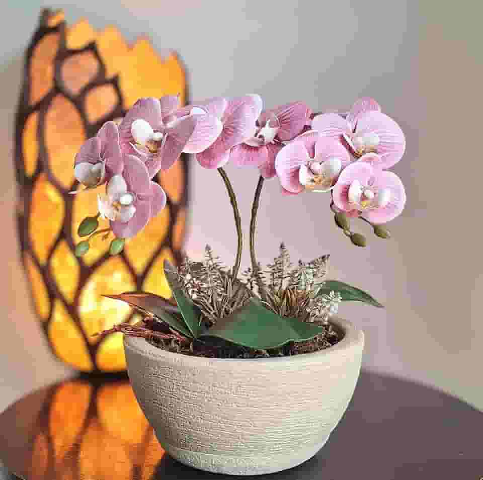 Orquídeas- Arranjo Cedro com orquídeas artificiais em tons suaves de rosa com vaso.