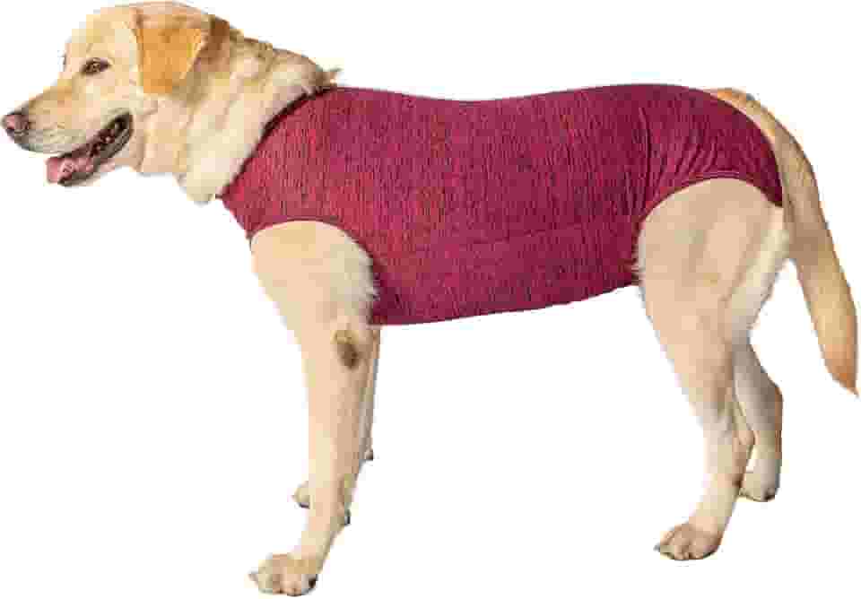 Roupa pós-cirúrgica para castração de cães fêmeas - Tam 07 - peso 9 kg a 14kg - Pet Designer