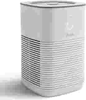 LEVOIT Purificador de ar para quarto doméstico, filtro de purificadores, limpador de quarto pequeno com esponja de fragrância para fumaça, alergias, pelos de animais de estimação, odor, removedor de