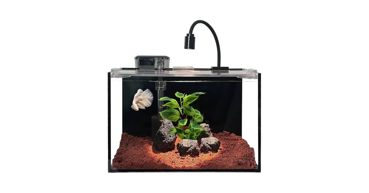 Melhor Aquário para iniciantes: Kits Compactos e Decorativos