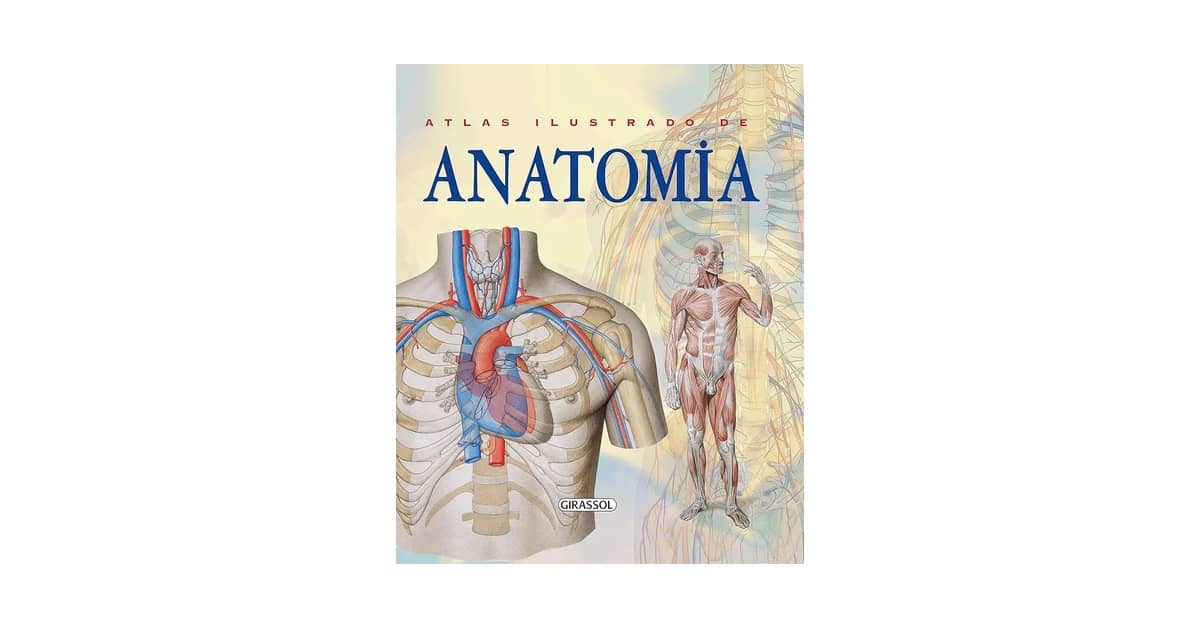 Melhor Atlas de Anatomia 3D: Guia Completo para Estudantes