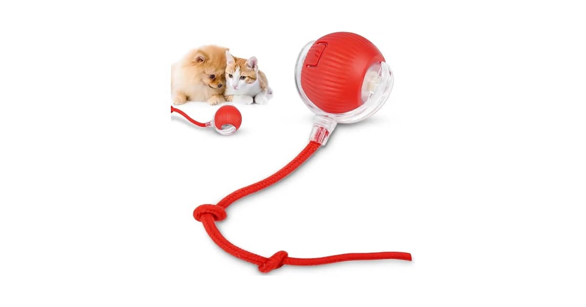 Melhor Brinquedo para Gato: Diversão e Estimulo Garantidos!