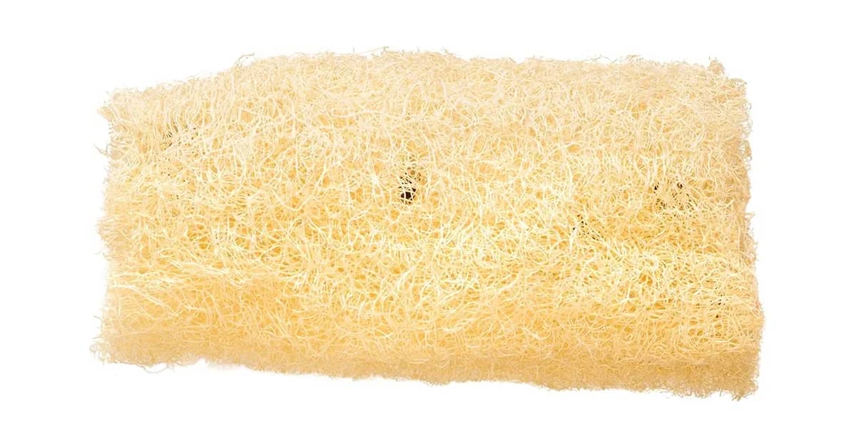 Melhor Bucha Vegetal: 10 Modelos Sustentáveis