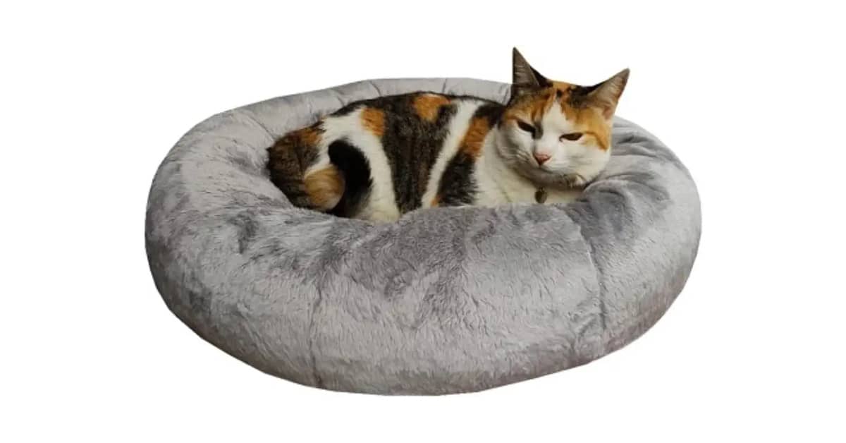 Melhor Cama Gato: Conforto e Segurança para Seu Felino