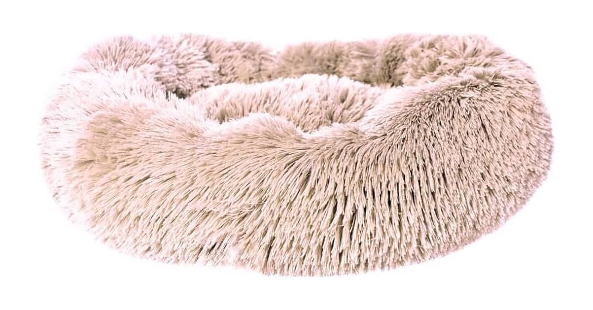 Melhor Cama para Gato: 10 Modelos para Conforto Total