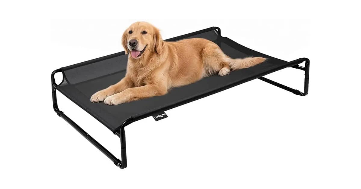 Melhor Cama Suspensa para Cachorro: Guia Completo
