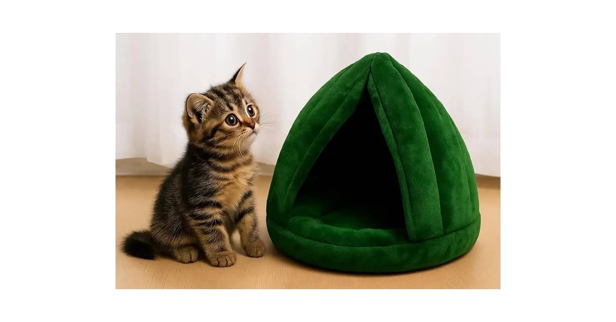 Melhor Caminha para Shih Tzu: Conforto e Segurança