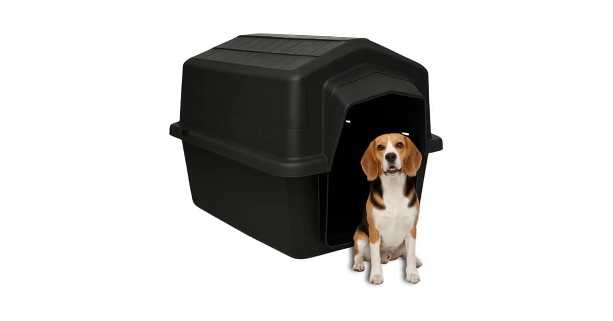 Melhor Casinha para Cachorro: Guia Completo e Dicas!