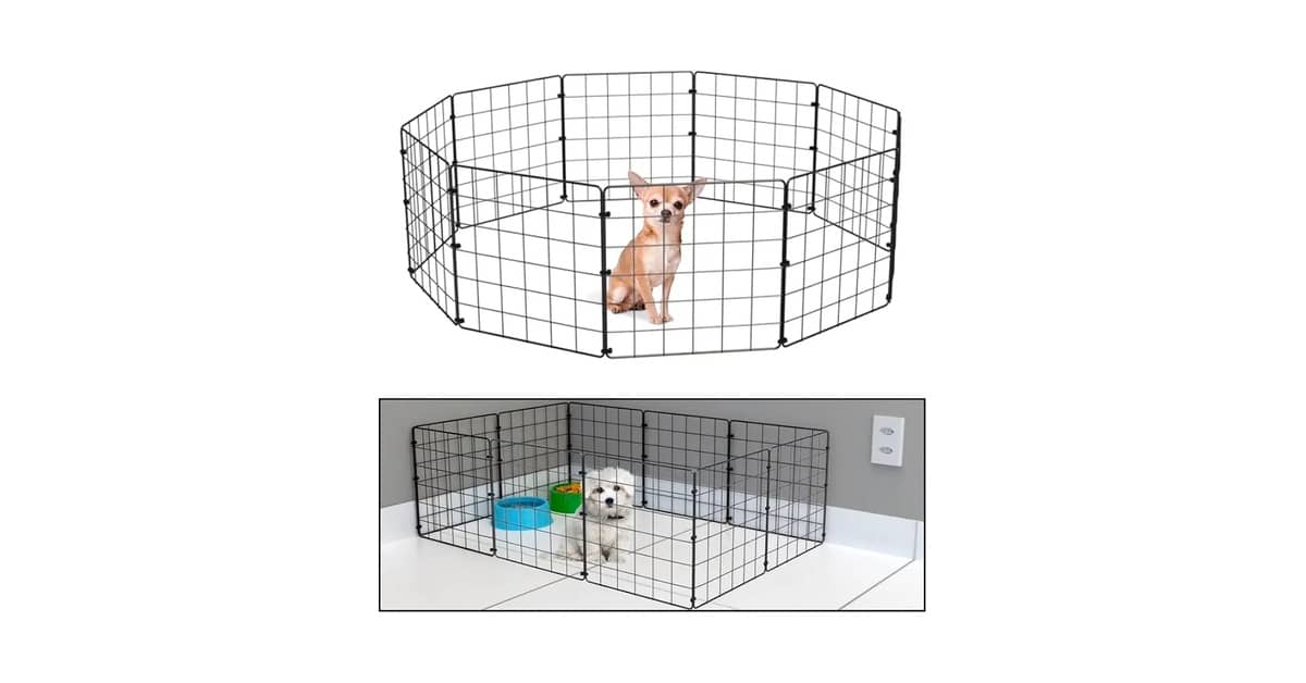 Melhor Cercadinho para Cachorro: Guia Completo de Escolha