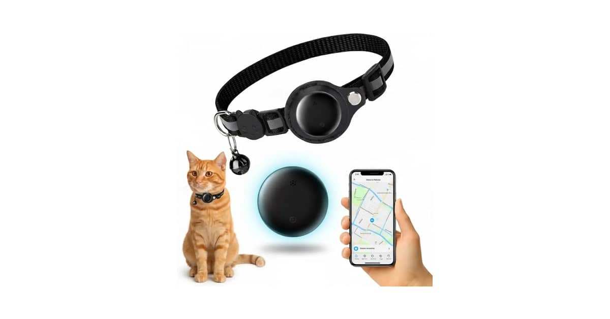 Melhor Coleira Rastreadora para Gatos: GPS e Segurança