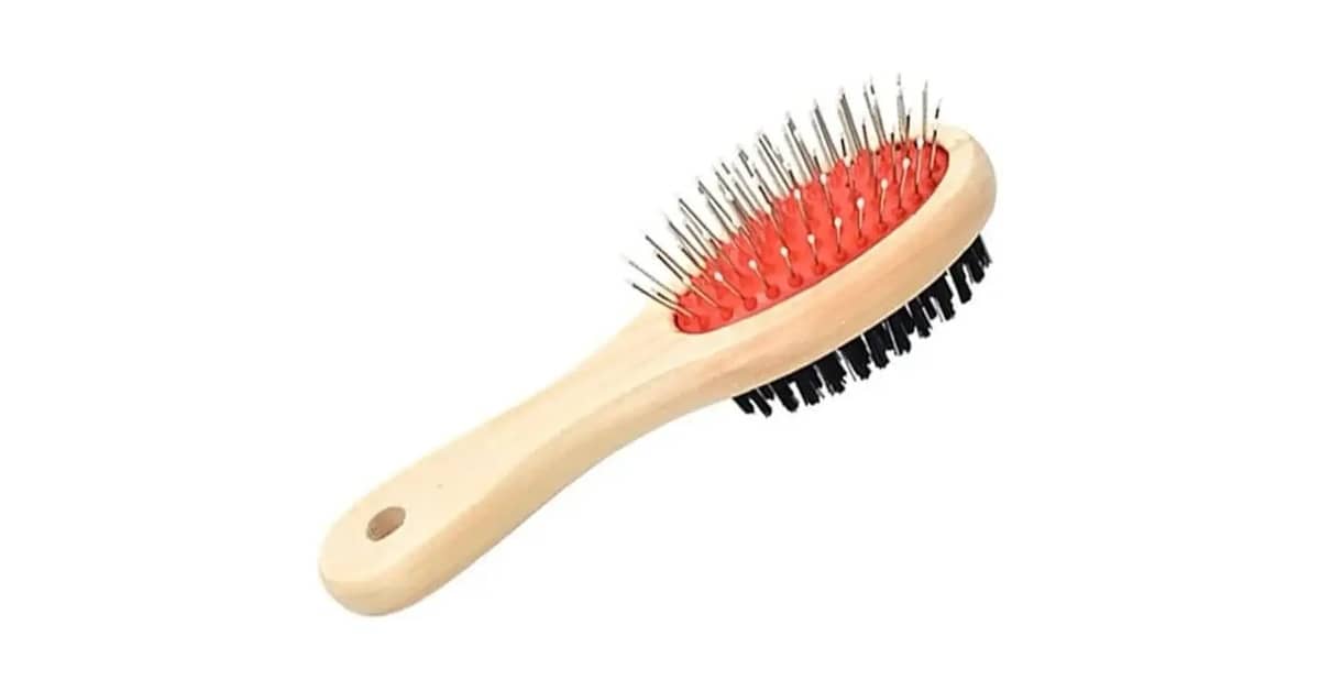 Melhor Escova para Cachorro Shih Tzu: Guia de Compra Essencial