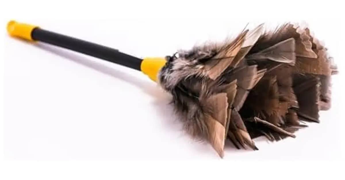 Melhor Espanador para Livros: Guia de Limpeza Delicada