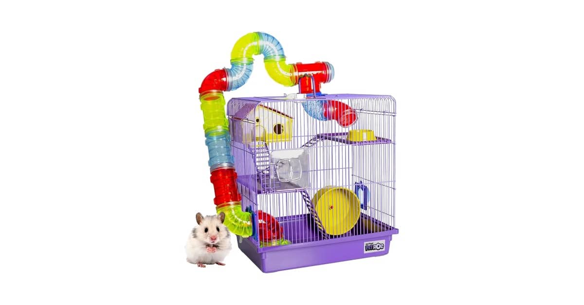 Melhor Gaiola Hamster: 7 Opções Seguras e Divertidas
