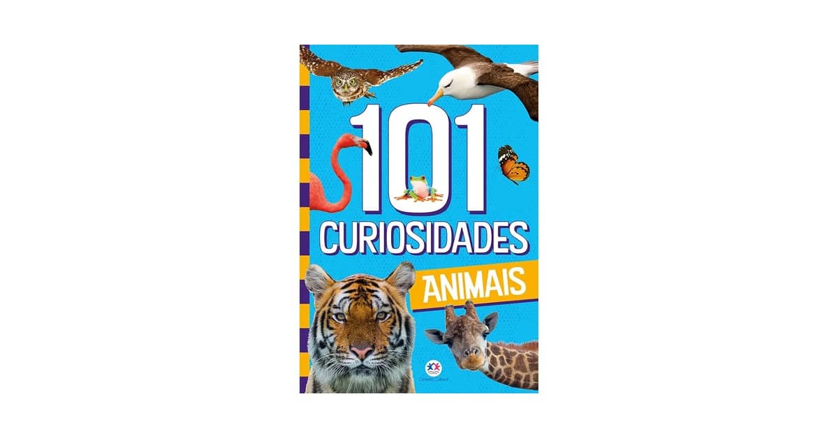 Melhor Livro Infantil para 11 Anos: Guia de Aventura e Descoberta