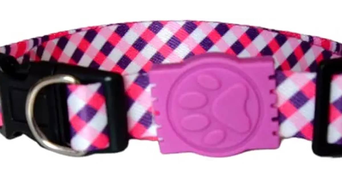 Melhor Marca de Coleira para Cachorro: Conforto e Segurança