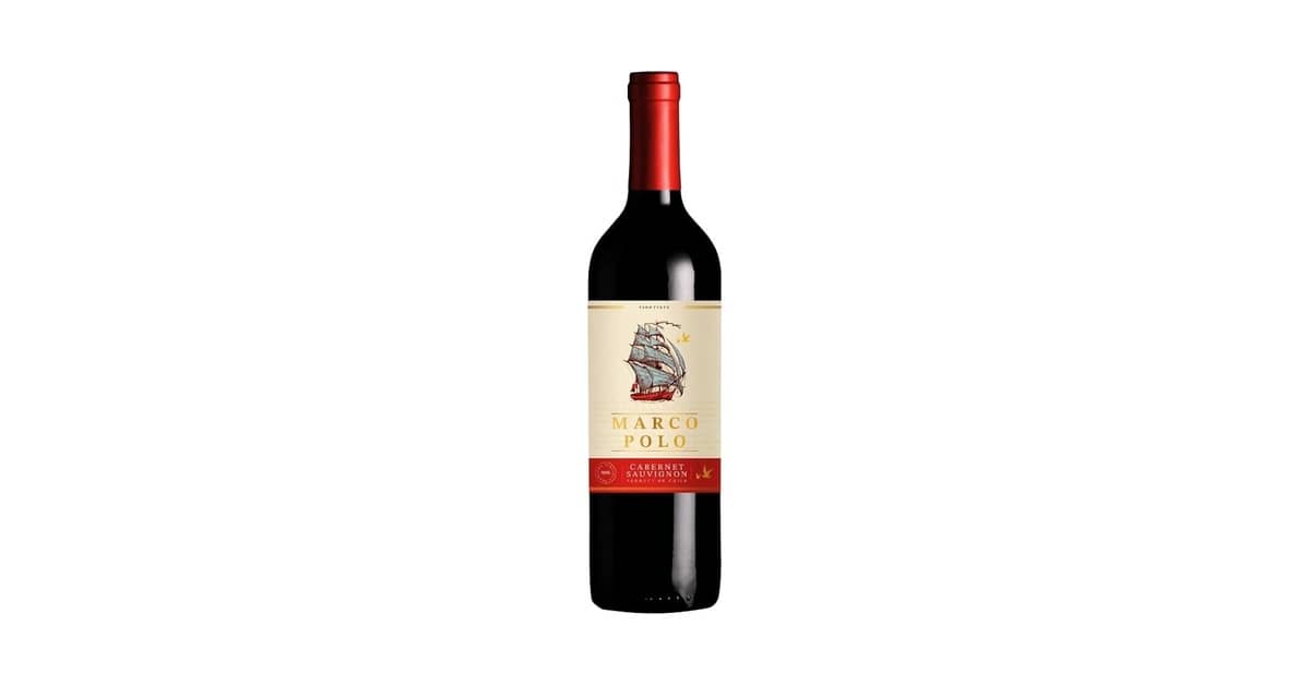Melhor Marca de Vinho Chileno: Descubra os Tintos e Brancos Premium