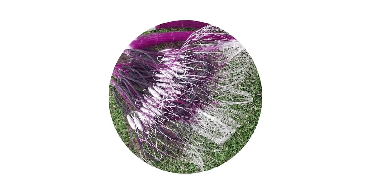 Melhor Massa para Pescar Tambaqui: Opções Ideais