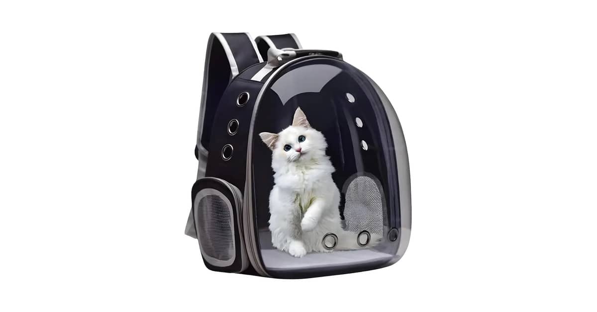 Melhor Mochila Transparente para Gato: 10 Modelos