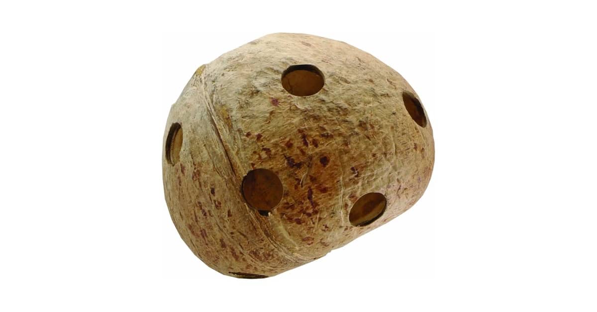 Melhor Narguile Grande: Acessórios Essenciais para Sua Experiência