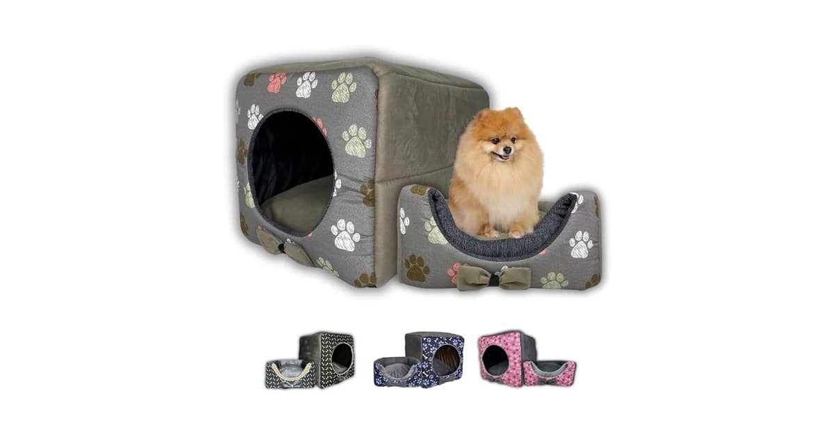 Melhor Piso para Casa com Cachorro: Durabilidade e Limpeza