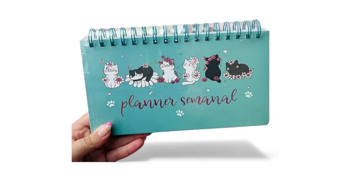 Melhor Planner para quem tem Tdah: Foco e Produtividade