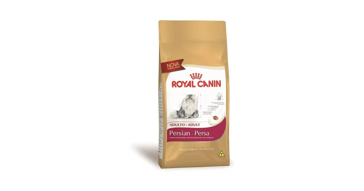 Melhor Ração para Gato Persa: Cuidado e Nutrição Essencial