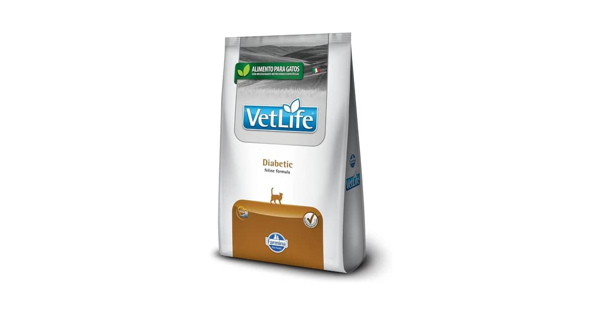 Melhor Ração para Gatos Diabetes: Guia Completo