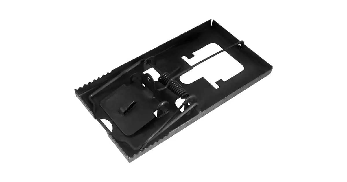 Melhor Ratoeira: 10 Modelos para Captura Eficiente