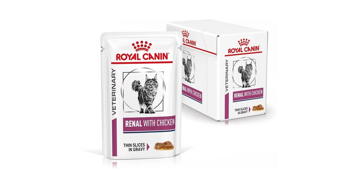 Melhor Sachê para Gato Renal: Opções Veterinárias Essenciais