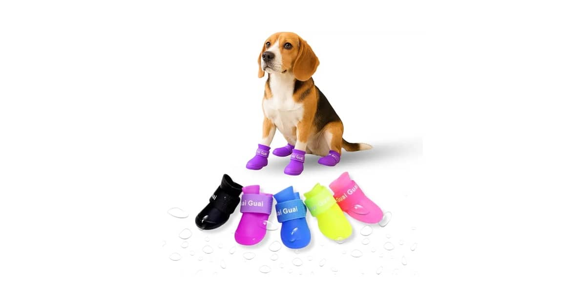 Melhor Sapatinho para Cachorro: Proteção e Conforto para Seu Pet!