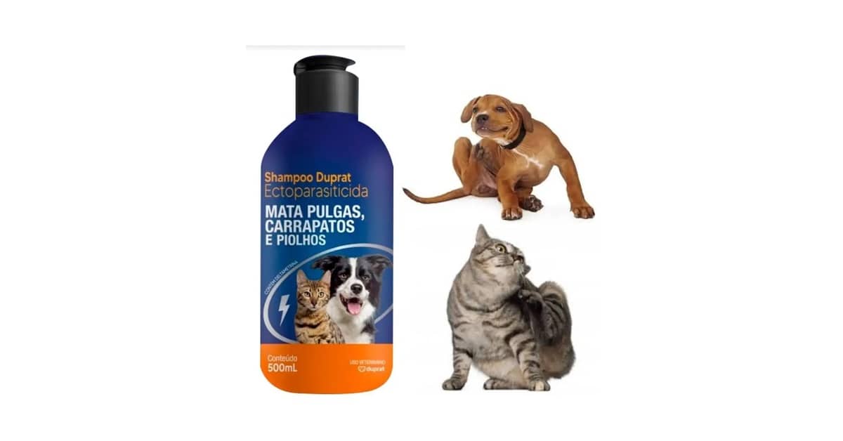 Melhor Shampoo Antipulgas para Gatos: Guia Completo e Eficaz