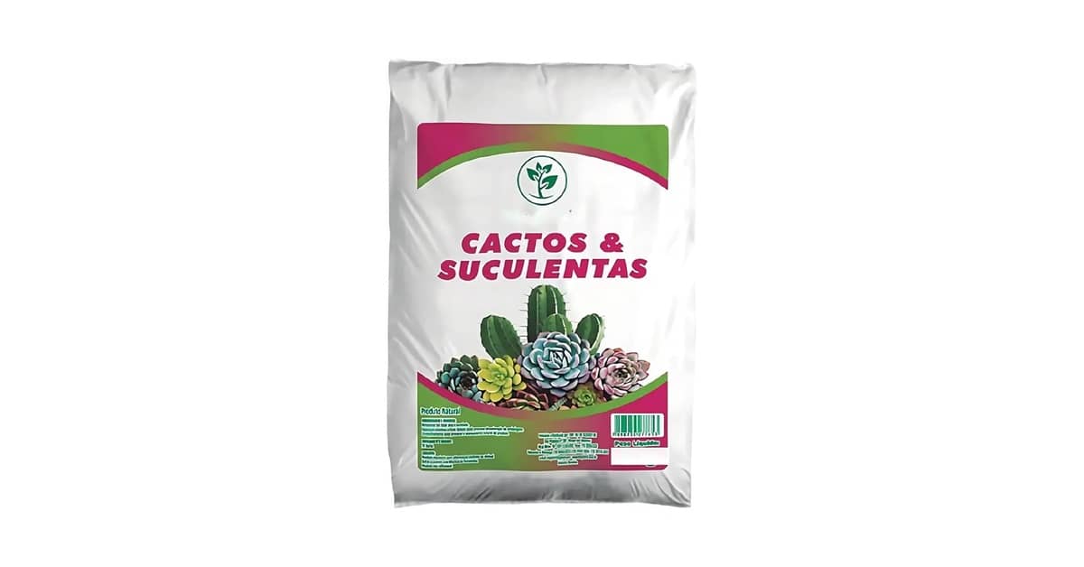 Melhor Solo para Suculentas: Guia Essencial para o Cultivo Perfeito!