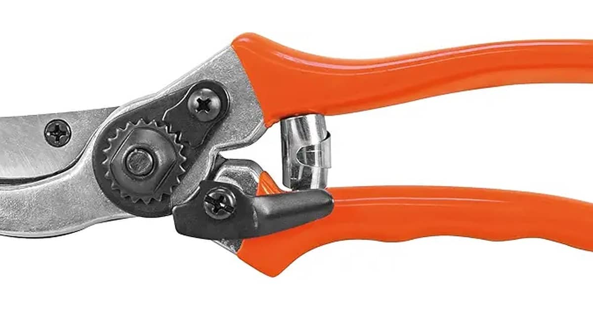Melhor Tesoura de Poda Profissional: Qual a Mais Resistente?