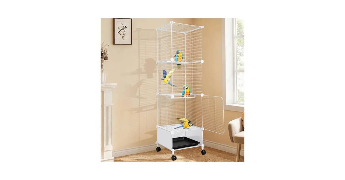 Melhor Tipo de Gaiola para Calopsita: Guia Essencial 2024