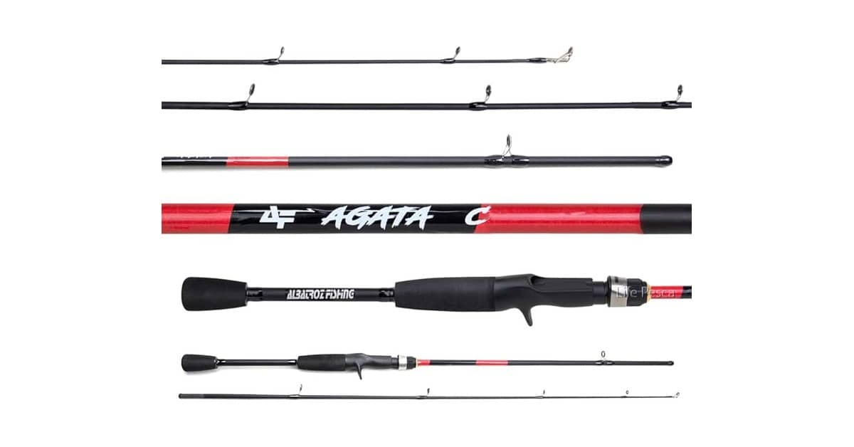Melhor Vara de Pesca para Carretilha: Guia Essencial