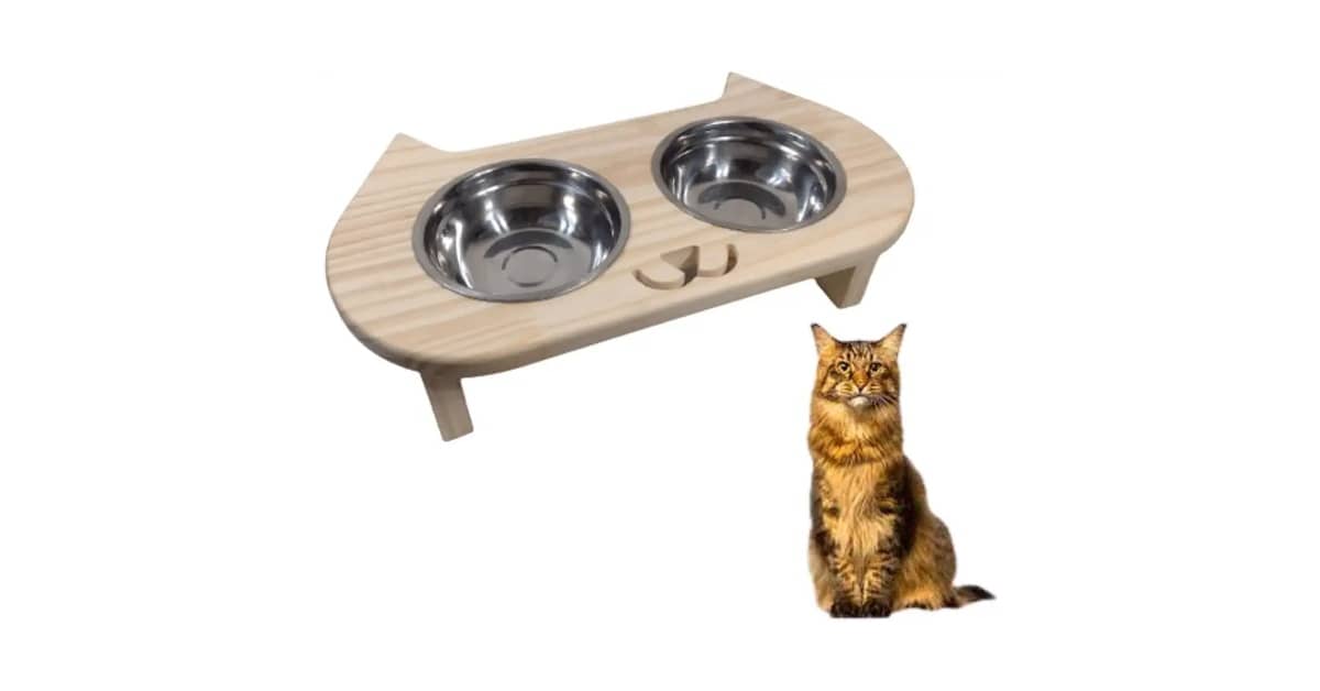 Melhor Vasilha para Gato: 10 Modelos Ergonômicos