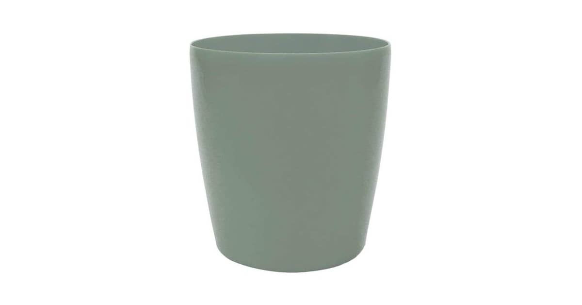 Melhor Vaso Orquidea: Guia Essencial para Flores Saudáveis