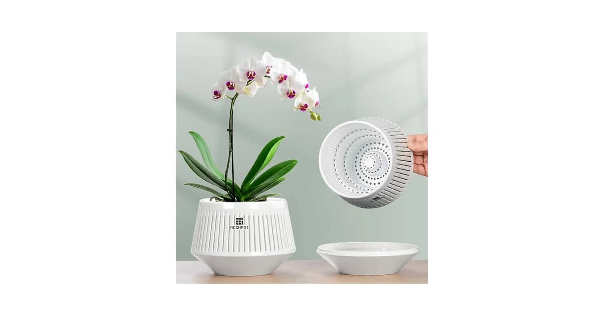 Melhor Vaso para Orquídeas Vanda: Opções com Boa Drenagem e Circulação