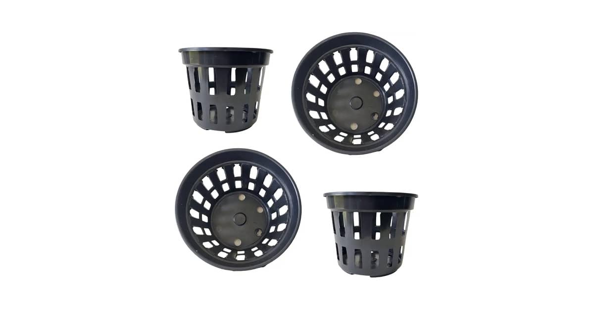 Melhor Vaso para Plantar Flor de Maio: Guia Prático