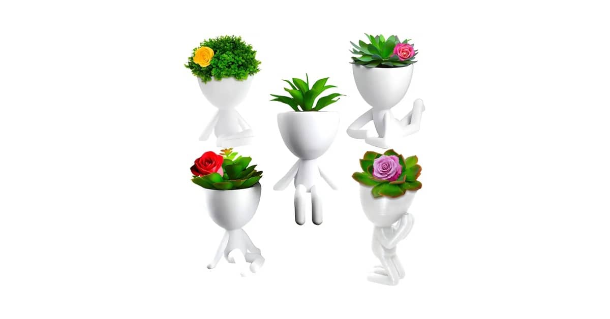 Melhor Vaso para Plantar Suculentas: Guia Completo