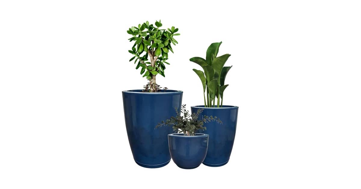 Melhor Vaso para Plantas: 5 Opções Duráveis e Elegantes