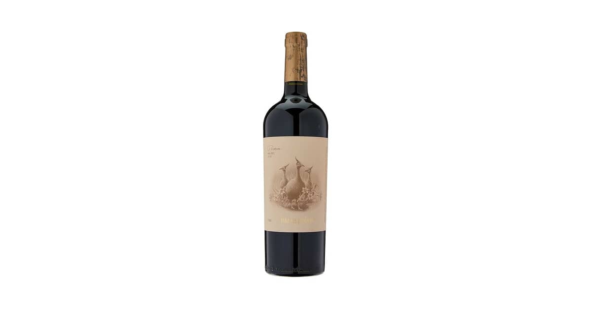 Melhor Vinho Argentino Malbec: Guia de Sabores Únicos