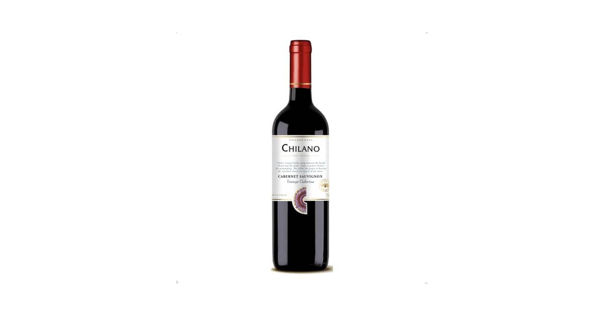 Melhor Vinho Argentino ou Chileno: Guia de Sabores Únicos